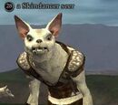 A Skindancer seer