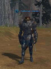 A Sathirian watcher