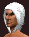 Arcane Beguiler's Bejeweled Cowl (Equipped).png