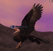Grimfeather