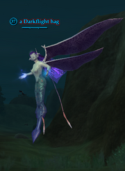 A Darkflight hag