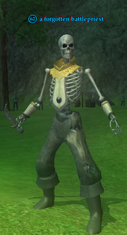 A forgotten battlepriest