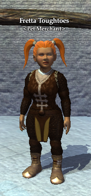 Fretta Toughtoes