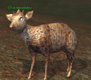 An infected deer