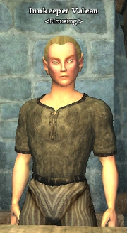 Innkeeper Valean