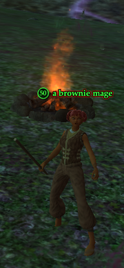 A brownie mage