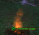 A brownie mage
