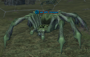 An orb creeper