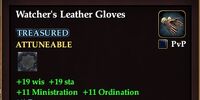 Watcher's Leather Gloves