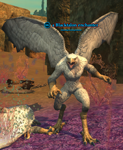 A Blacktalon enchanter