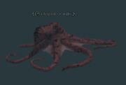 A deepwater strangler