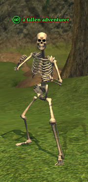 A fallen adventurer