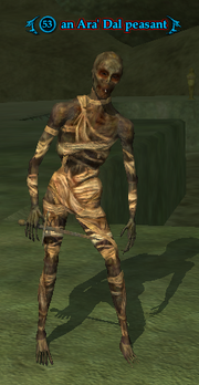 An Ara' Dal peasant (Heroic)
