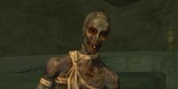An Ara' Dal peasant (Heroic)