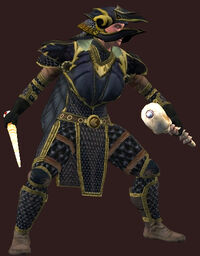 T9 Chain Healer - Normal (Armor Set) (Visible, Female)