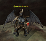 A holgresh warrior