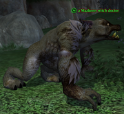 A Mazkeen witch doctor