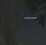 A quetzanek