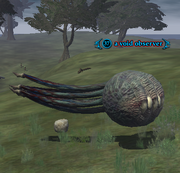 A void observer