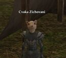 Cvaka Zichovani