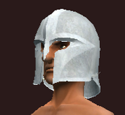 Knight's Helmet of the Warleader (Equipped)