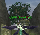 The Gloompall Hag