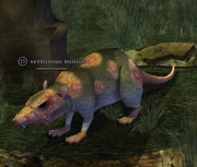 A verminous minion