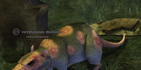 A verminous minion