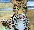 A spotted pouncer