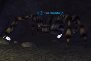The Incubator