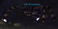 The Incubator