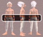 Battleshaman's Chainmail Armguards (Equipped)
