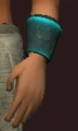 Arctic Frostwind Champion's Vambraces (Equipped).png