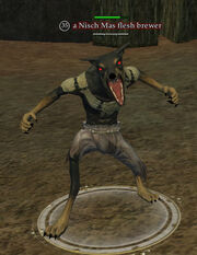 Nisch Mas flesh brewer
