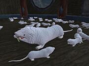 Seeker of Cheese (Visible)