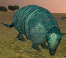A burly armadillo