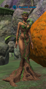 A faewood curator