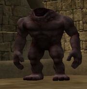 A worn cabilisian protector