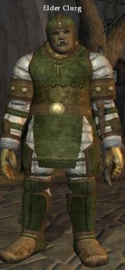Elder Clurg