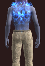 Shimmering Pallium (Equipped)