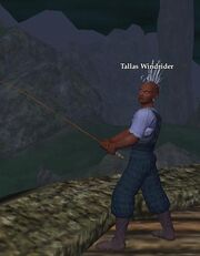 Tallas Windrider