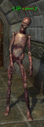 A ghoul (Stormhold)