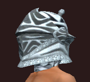 Knight's Barbute of the Citadel (Equipped)