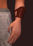 Sacrosanct Bracer of the Forest Scion (Equipped)