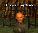 Thayare Faystrider