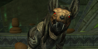 An Anaz Mal deceiver (Solo)