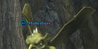 Mutterbuss
