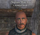 Nipius Malchus