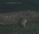 A crushmaw croc