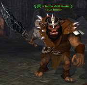 A Terrok drill master